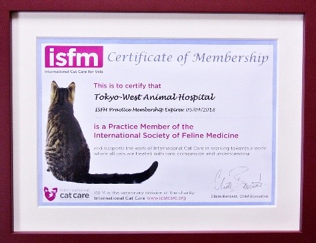 国際猫医学会ISFM