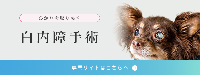 白内障手術専門サイトバナー