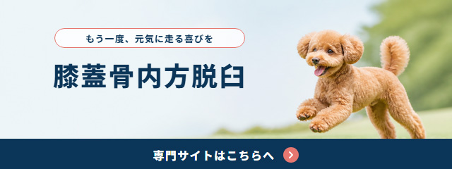 膝蓋骨内方脱臼サイトバナー