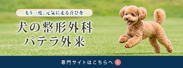 犬の整形外科 パテラ外来バナー