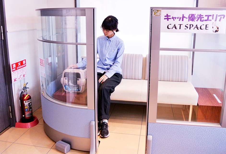 猫にやさしい診療施設