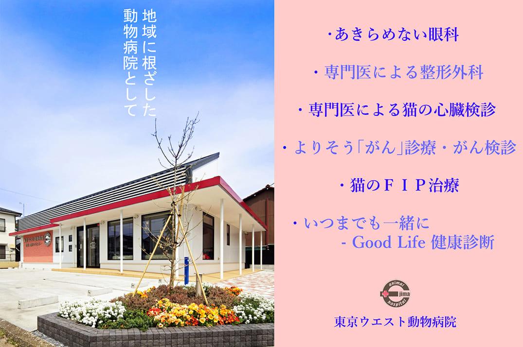 当院へのアクセス