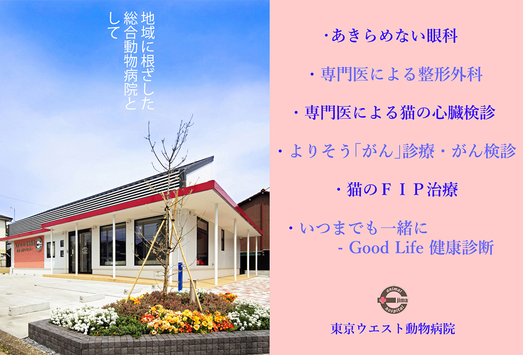 当院へのアクセス