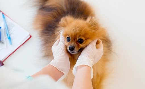 エビデンスに基づいた治療や対処を提案イメージ写真