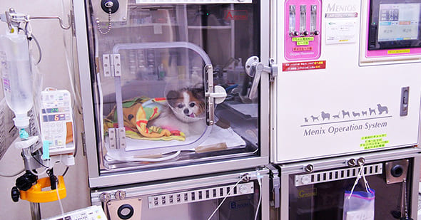 求人案内 イメージ写真