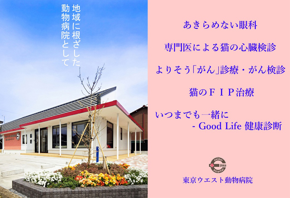 当院へのアクセス