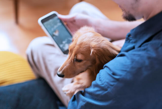 女性がスマホを操作しているイラスト