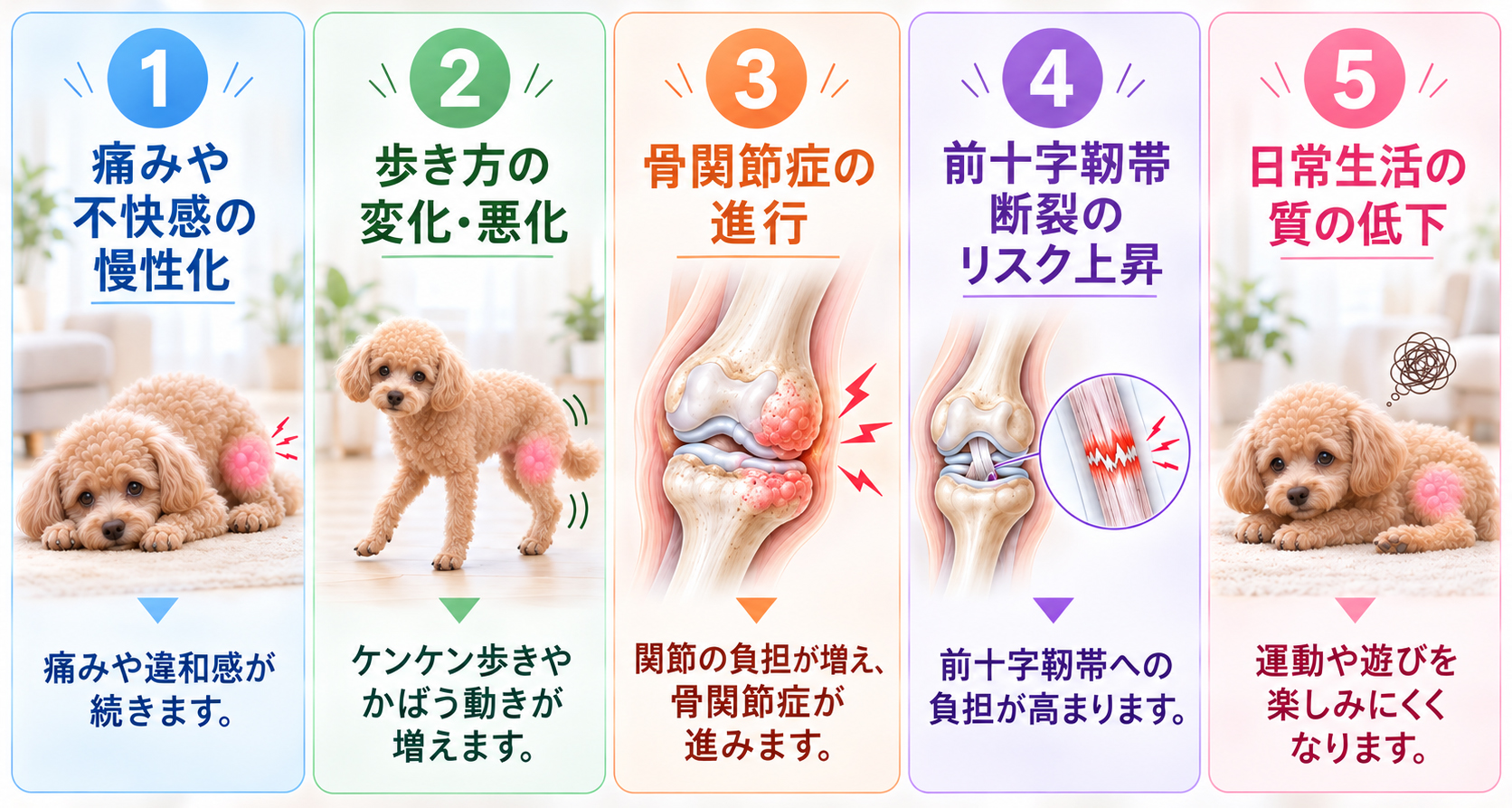 膝蓋骨内方脱臼のリスク